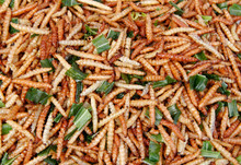 fried caterpillars