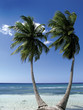 canvas print picture - caribbean beach