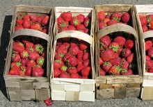 Baskets Of Strawberries For Sale