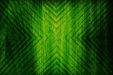 Canvas Print - matrix background