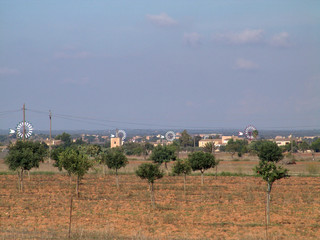 plantage in südeuropa