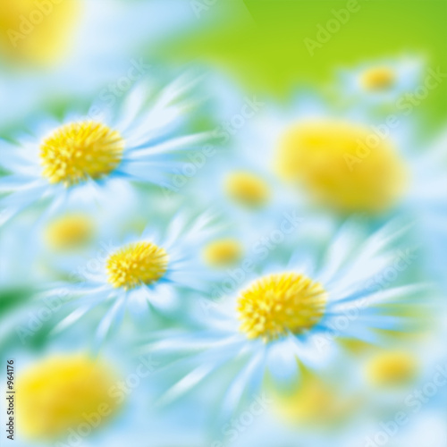 Foto-Schiebegardine Komplettsystem - daisies (von Radovan Kraker)