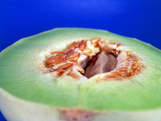 honey dew melon 2