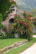 stone and roses at ninfa gardens