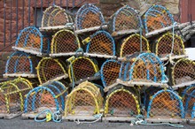 Crab Cages