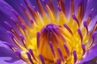 Leinwandbild Motiv purple waterlily
