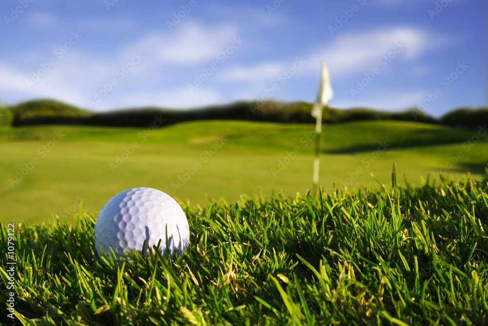 golfball on course - obrazy, fototapety, plakaty 