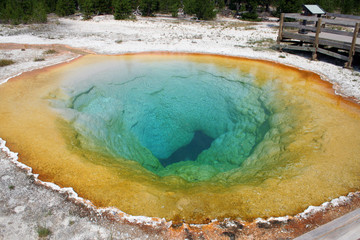 hot spring at yellowstone national park