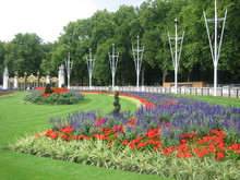 Palace Garden