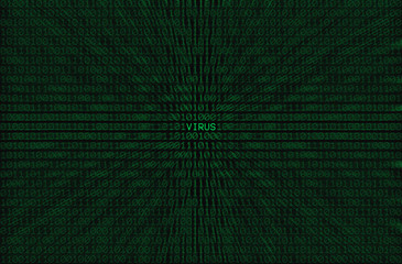 virus coding
