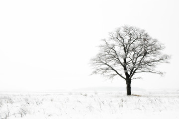 winter lonelyness