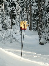 Mittens On The Ski Poles
