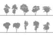 arbres pour coupes et élévations