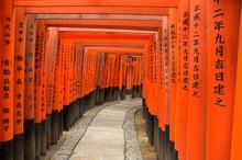 Torii Gates Of Fushimi Inari Shrine, Kyoto, Japan