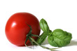basilikum mit tomate