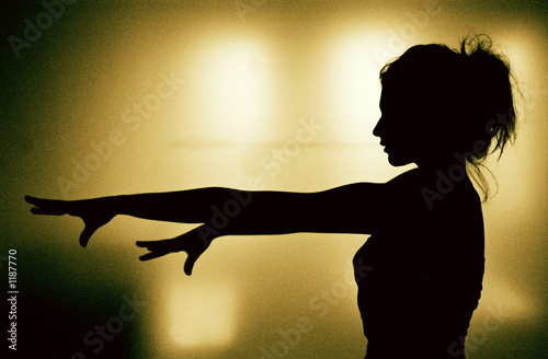 Leinwand Poster  flamenco