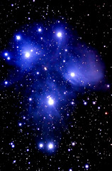 Wall Mural - m45 cluster - pleades