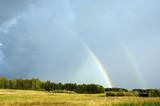 Fototapeta Tęcza - rainbow in the field