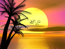 Colorful Tropical Sunset, Sunrise