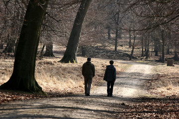  in the forest