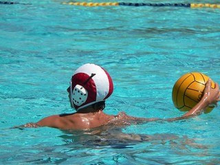 Canvas Print - water polo series