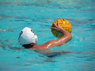 Canvas Print - water polo series