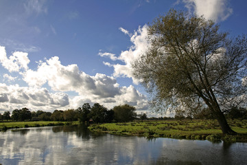 english meadow