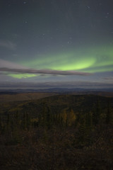 Wall Mural - moon lit sky with aurora over fall colors