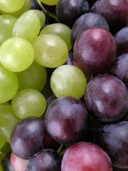 Wall Mural - grapes