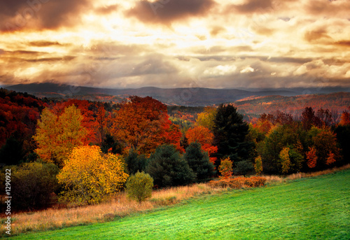 Dekoracja na wymiar pekniecie-w-vermont