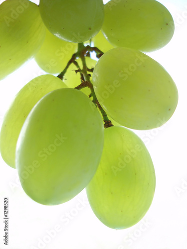 zielone-winogrona