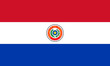 flag of paraguay (obverse)