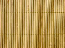 Bamboo Texture #3