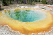 hot spring at yellowstone national park