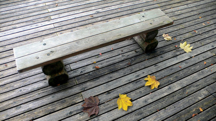 Wall Mural - bench in autumn park