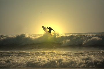 sunset surfer