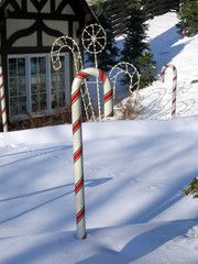 candy cane land