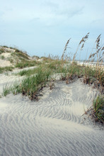 Beach Dunes