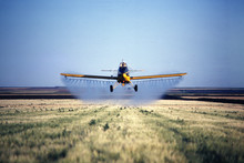 Spray Plane Spraying Barley Field In Colorado