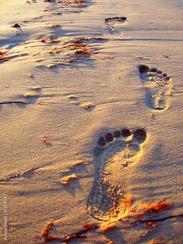 Foto-Lamellenvorhang - Fußspuren im Sand (von matttilda)