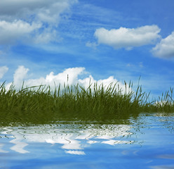  background of grass and blue sky
