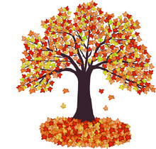 Autumn Tree And Leaves -  Illustration