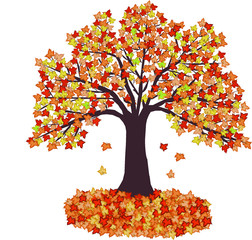 autumn tree and leaves -  illustration