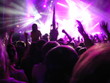people on concert
