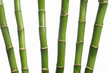 6 bambus halme