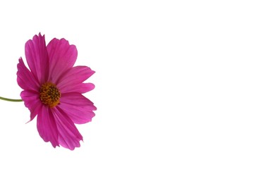 Wall Mural - cosmos