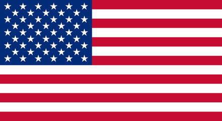 Wall Mural - usa fahne flag