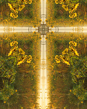 Homestead Sunflower Cross