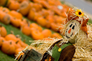 autumn decoration