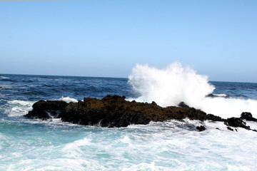 Wall Mural - ocean waves